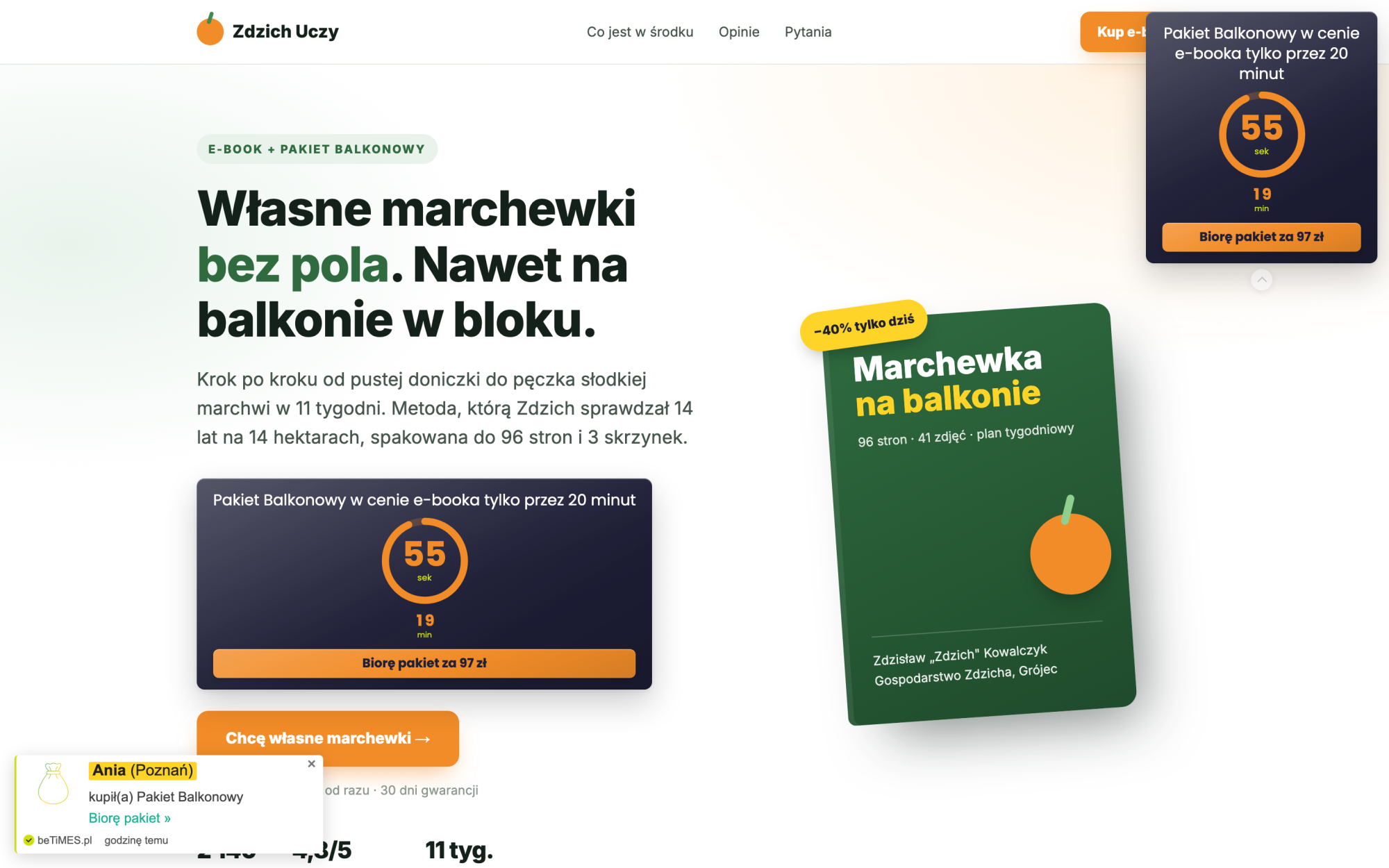 Licznik w stylu Pierścień na stronie sprzedażowej
